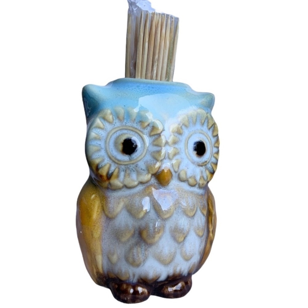 Kitchen Toothpick Holder Glazed Ceramic Country Owl Decor Blue White